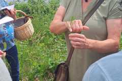 IMG-20240526-WA0067