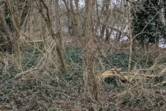 PXL_20250323_142440714