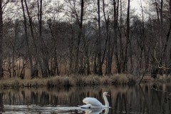 PXL_20250323_144608210