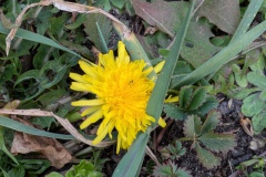 PXL_20250323_154929379