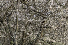 PXL_20250323_155228086