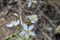 PXL_20250323_155244820