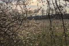 PXL_20250323_155355869