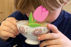 IMG-20240411-WA00362