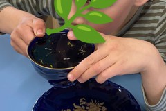 IMG-20240411-WA00382